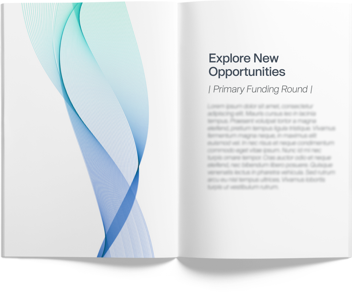 Primary funding round definition - Forge