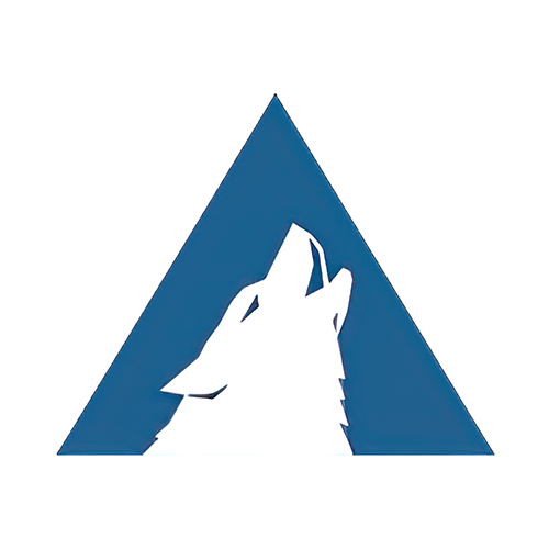 Arctic Wolf IPO