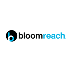 Bloomreach Stock