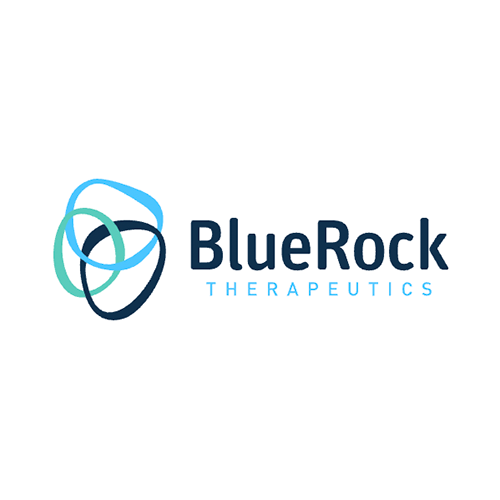 BlueRock Therapeutics Stock