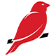 Red Canary