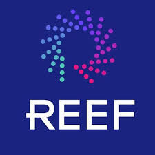 REEF Technology Raises Big Funds As Parking Lots Show Distress Signs