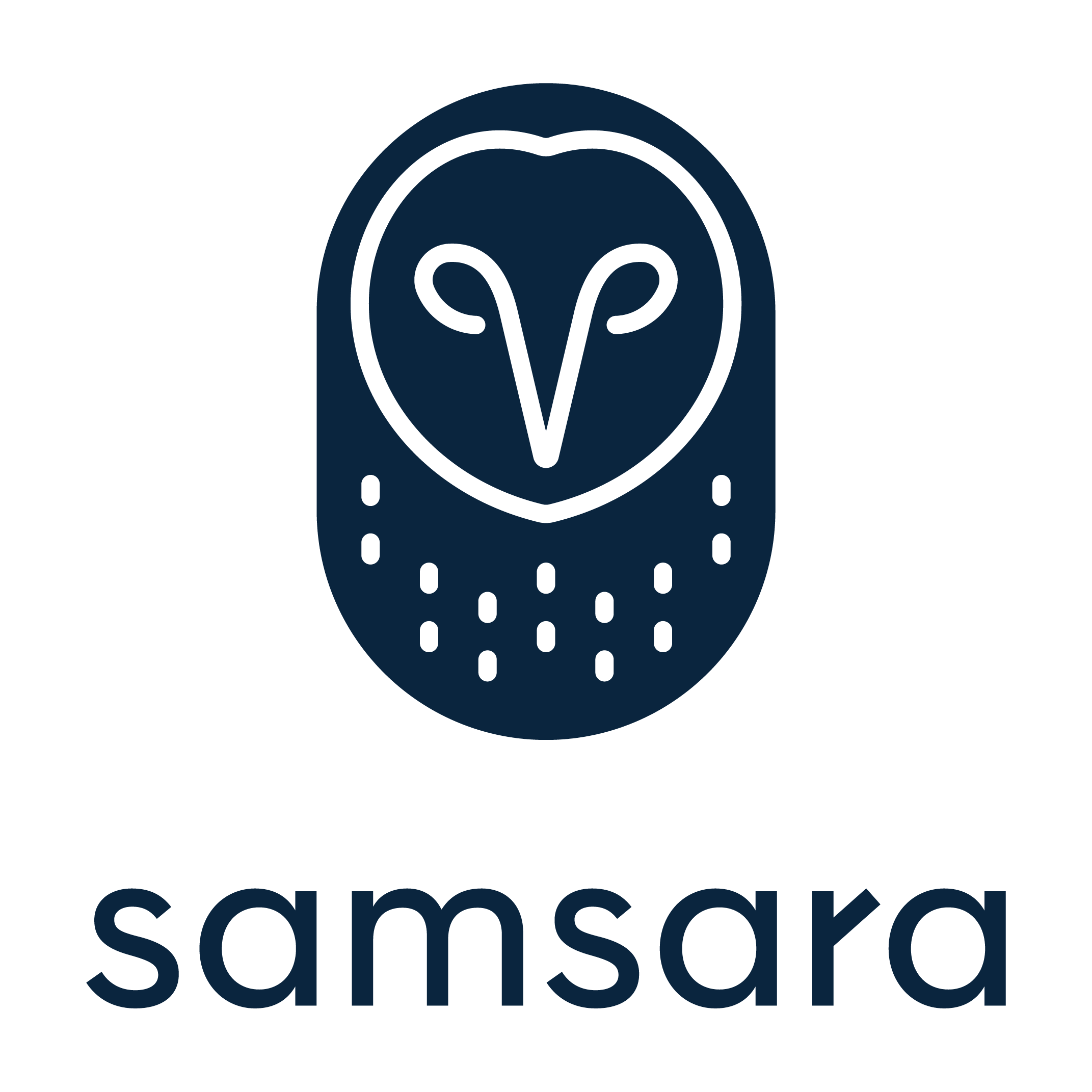 Samsara Stock