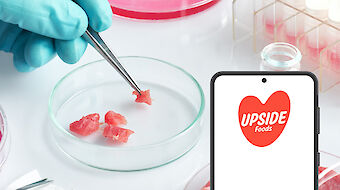 Startup News: Upside Foods&#039; lab-grown chicken is safe for human consumption