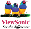 ViewSonic IPO