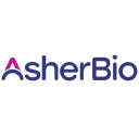 Asher Biotherapeutics