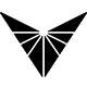 Voyager Technologies