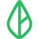 Branch